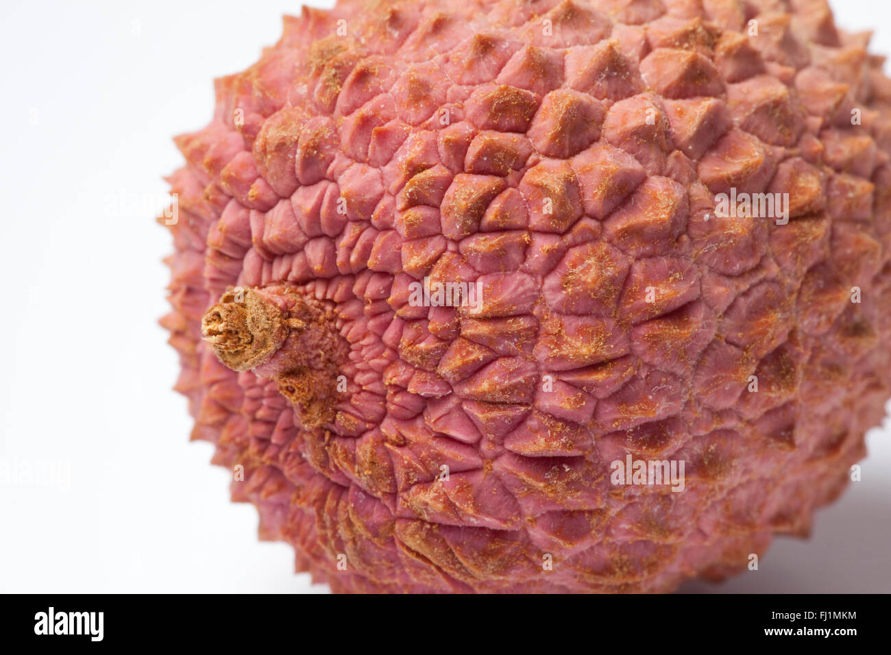 Fresh whole lychee close up on white background Stock Photo