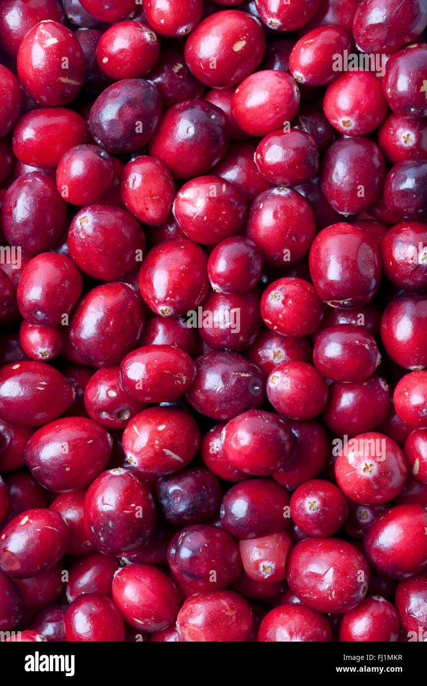 Cranberries hires stock photography and images Alamy