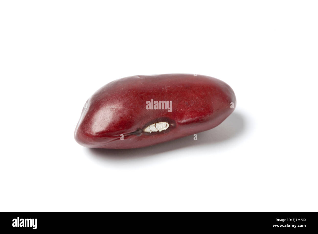 One whole single Red kidney bean on white background Stock Photo