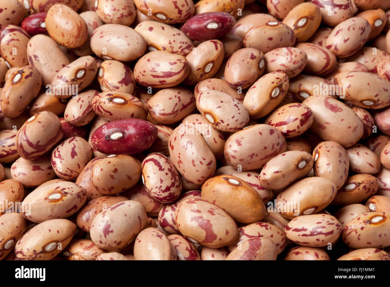 Raw Pinto beans ,Phaseolus vulgaris full frame Stock Photo Alamy