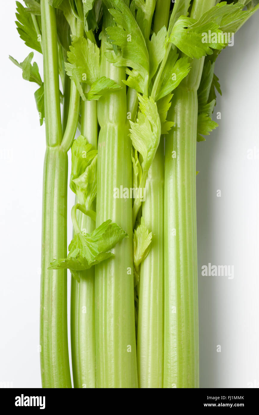Fresh raw Celery stems on white background Stock Photo