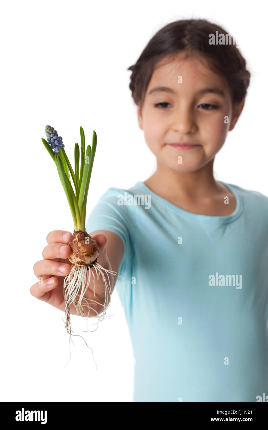 Little girl showing a  muscari bulb on white background Stock Photo