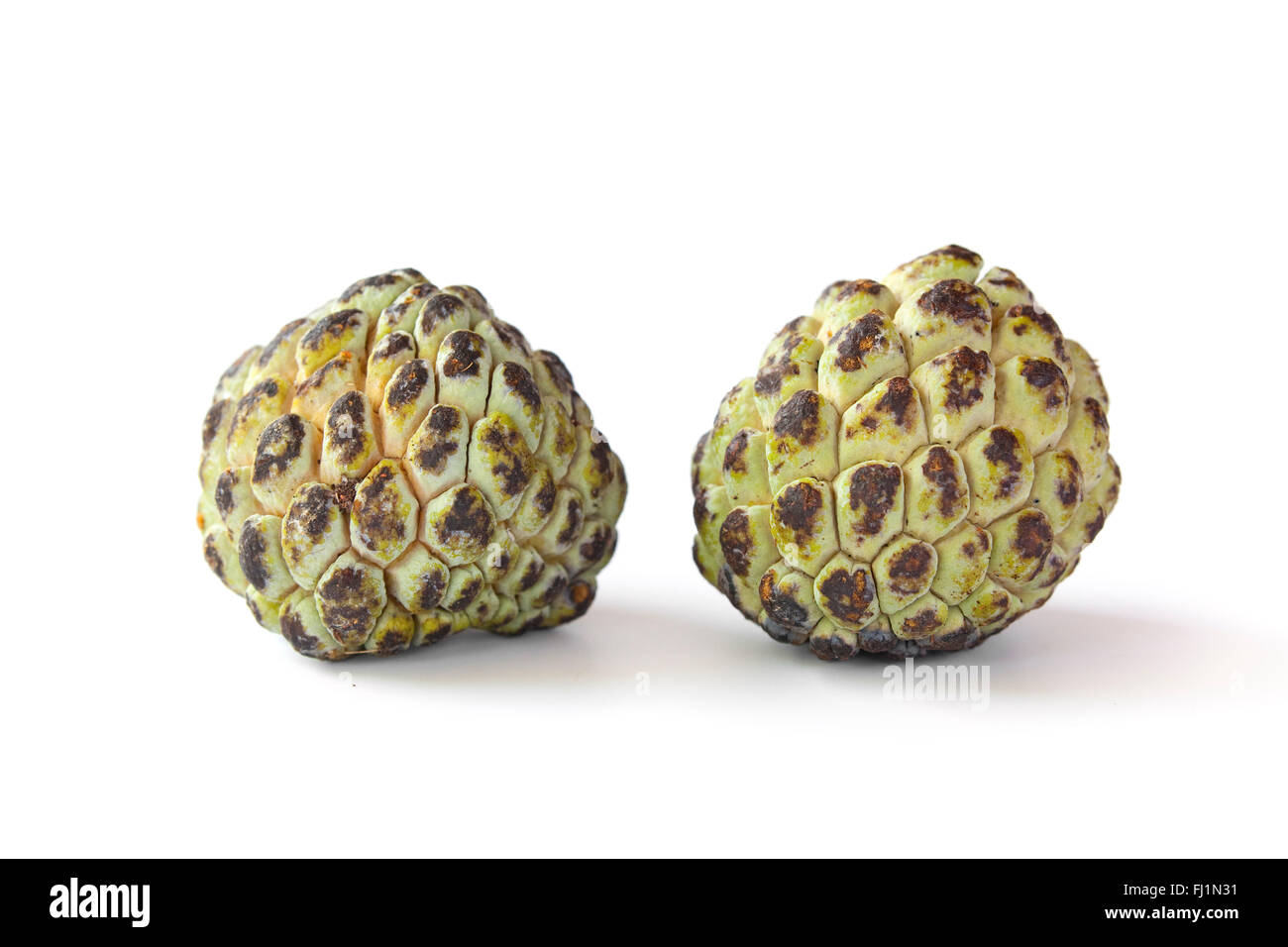 Two fresh whole cherimoya on white background Stock Photo