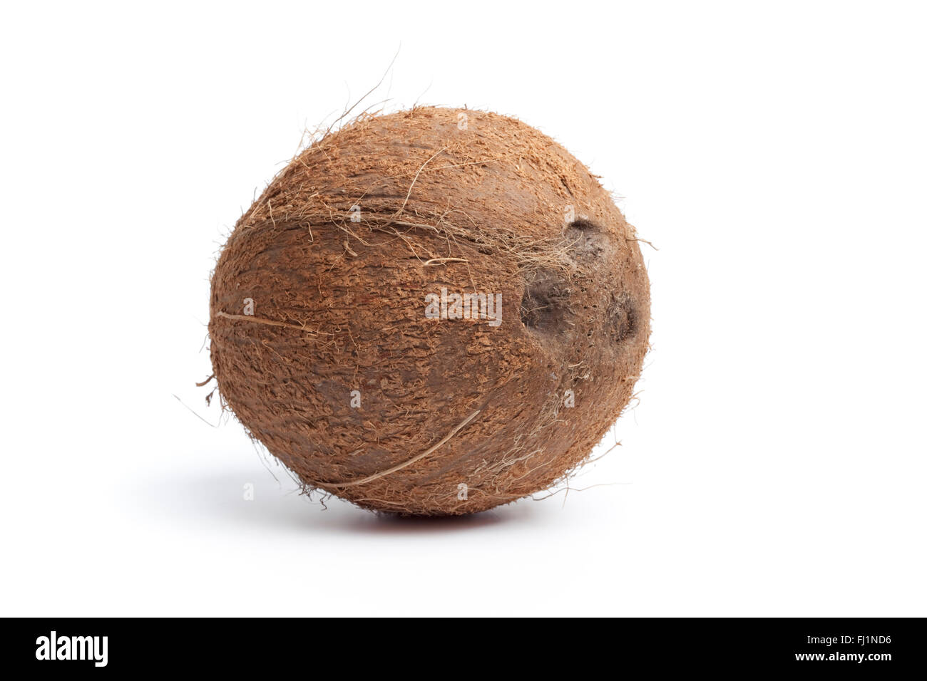 Whole single fresh coconut isolated on white background Stock Photo