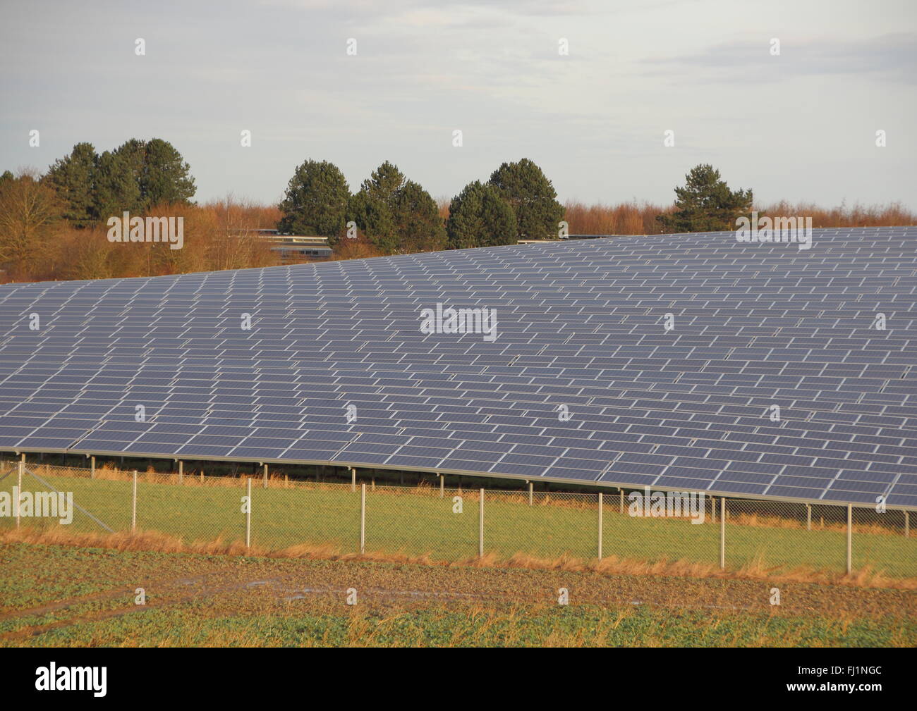Perspective of Solar Cell Industrial Plant with Fence and Field Stock Photo