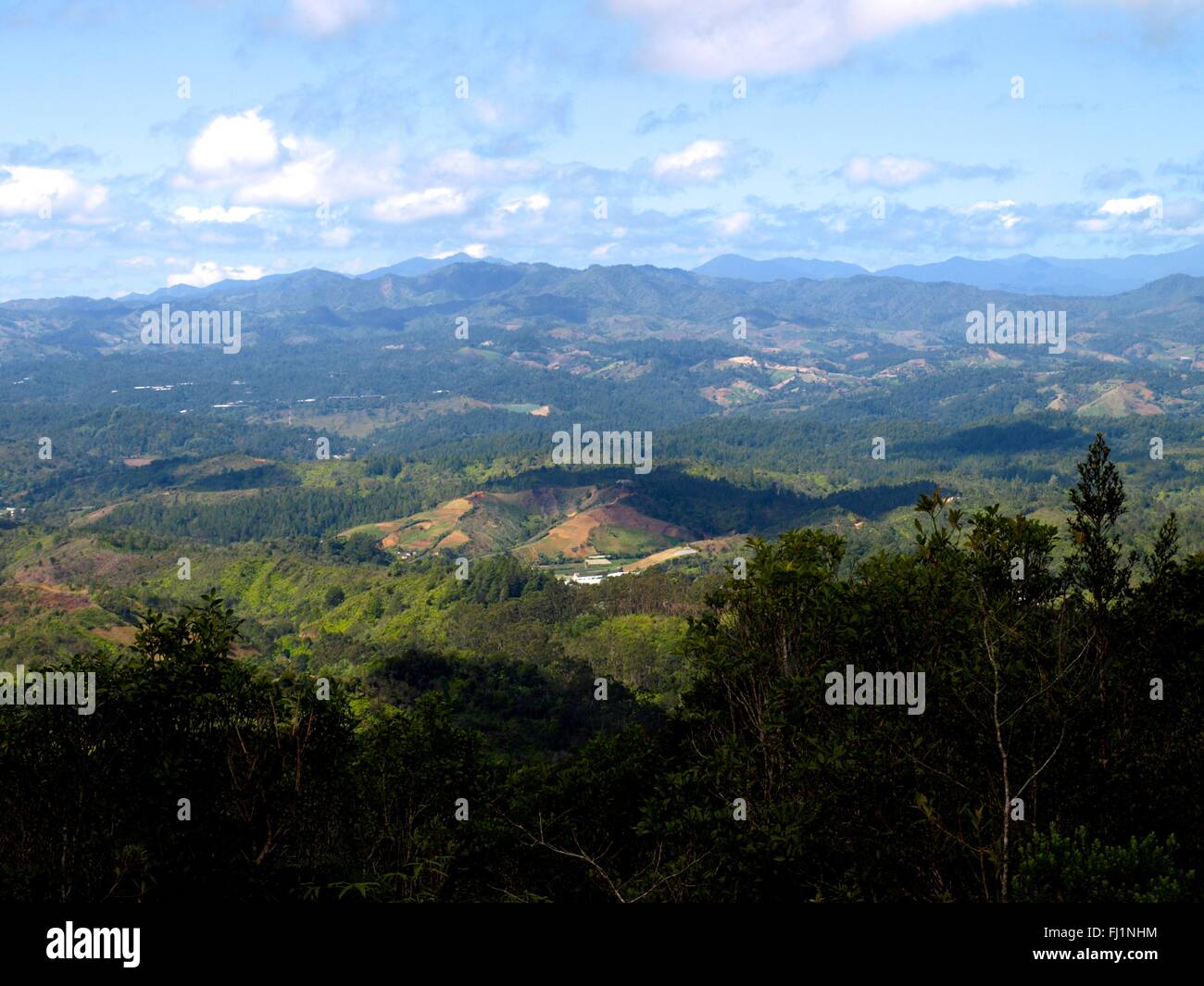  Dominican Republic landscape Stock Photo - Alamy Illustration 