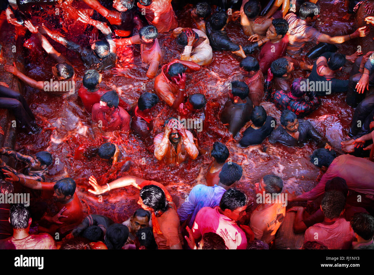 Hindus immerse themselves in basins filled with colored waters during the Rang Panchami celebrations, in the holy city of Nashik. Stock Photo