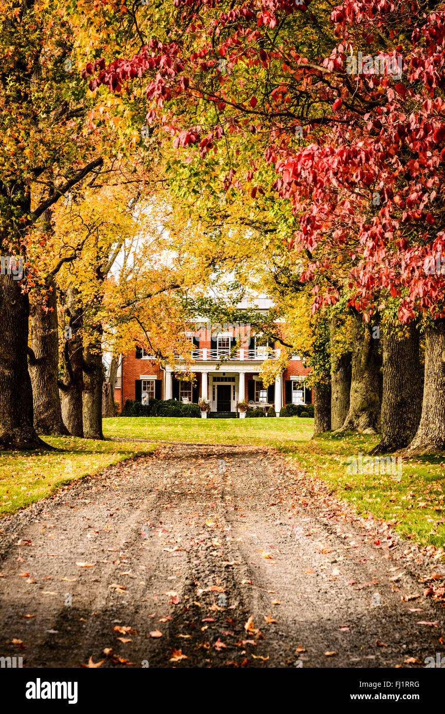Tree Lined Drive, Green Garden, 22439 Green Garden Road, Upperville, Virginia Stock Photo