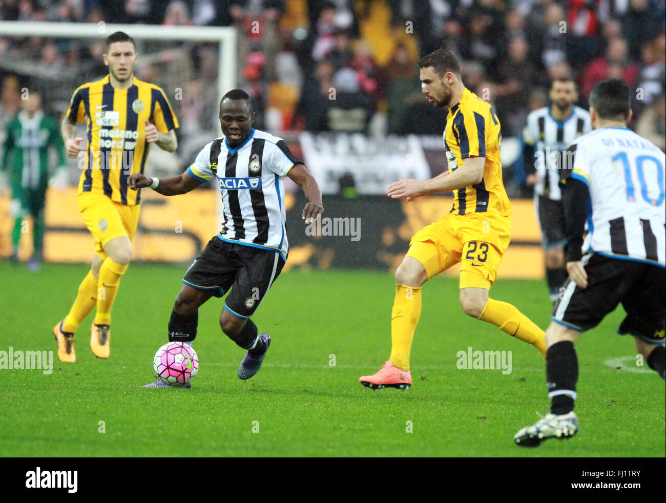 Udine, Italy. 28th Feb, 2016. Udinese's midfielder Emmanuel Agyemang Badu controls the ball during the Italian Serie A football match between Udinese Calcio v Hellas Verona FC. Udinese beats 2-0 Hellas Verona in Italian Serie A football match, goals by Badu and Thereau at Dacia Arena in Udine. Credit:  PACIFIC PRESS/Alamy Live News Stock Photo