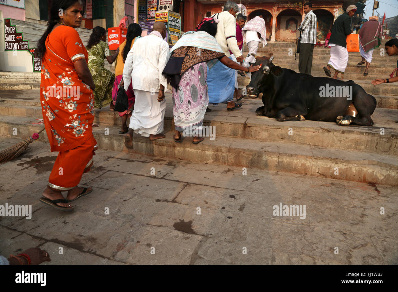 Women with holy cow on Dashashwamedh Ghat (main ghat) , Varanasi , India Stock Photo