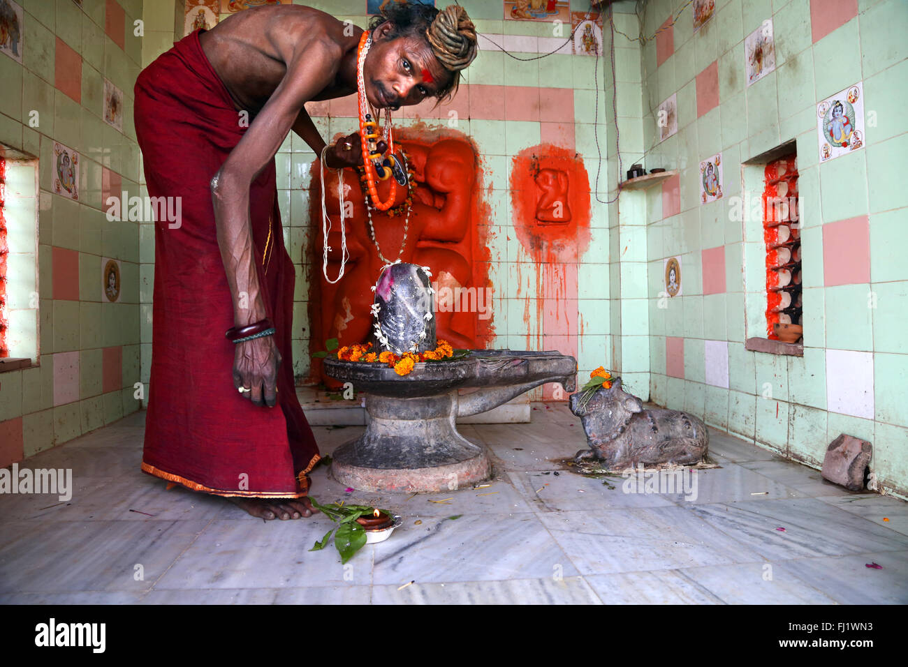 Portrait of Indian man sadhu in temple with Shiva Lingam in Hindu holy city Varanasi, India Stock Photo