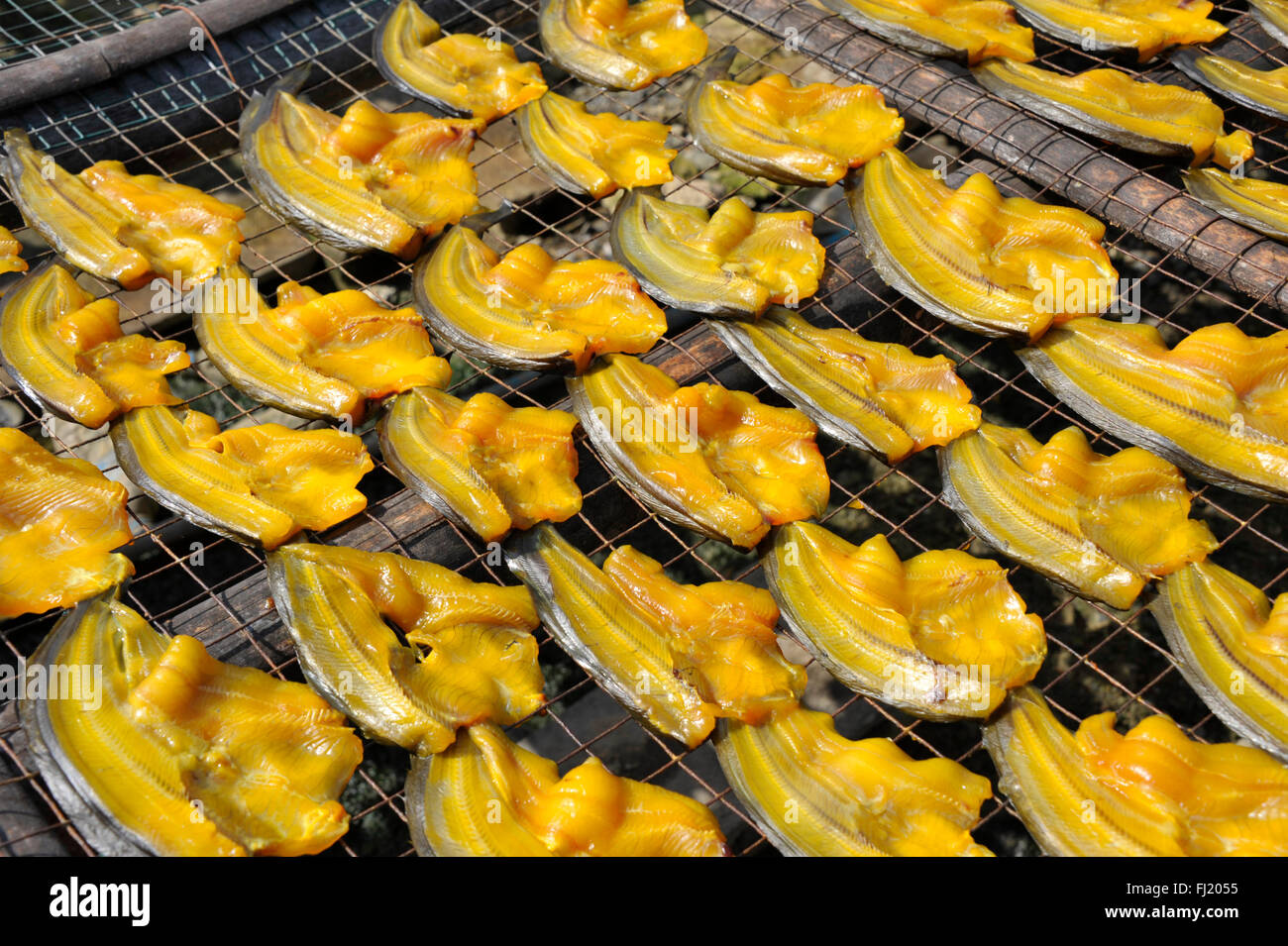Drying fish in the sun at a market in Thailand. Stock Photo