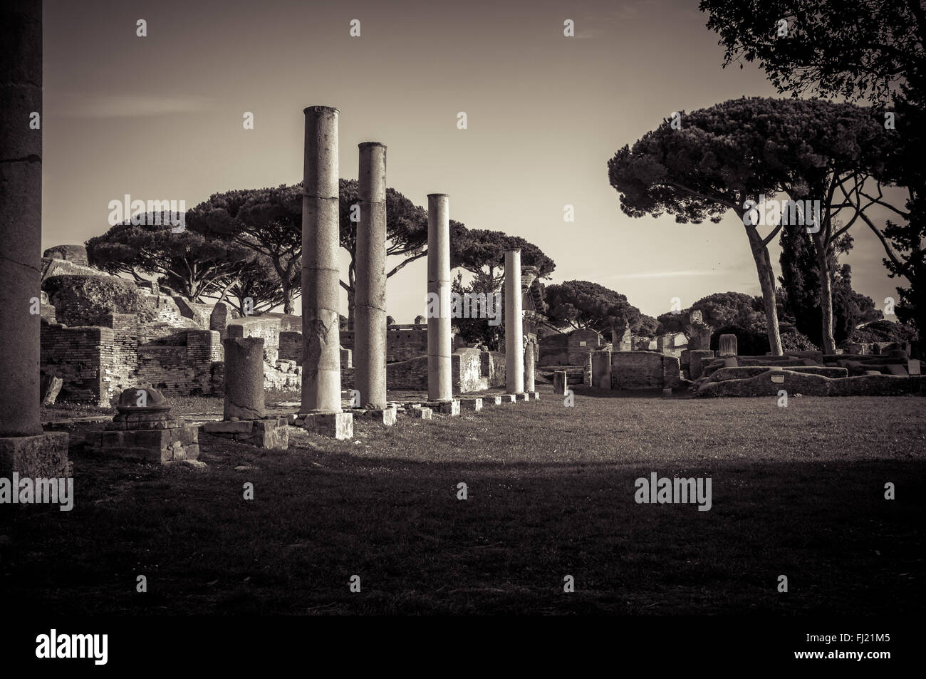 Columns of the Forum in the ancient town of Ostia Antica Stock Photo
