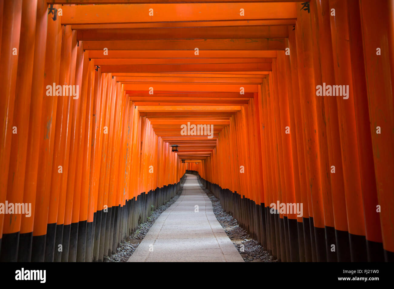 Fushimi Inari Taisha sanctuary in Kyoto WORLDFAMOUS Stock Photo
