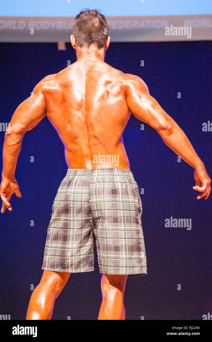 MAASTRICHT, THE NETHERLANDS - OCTOBER 25, 2015: Male physique model shows his best back pose at championship on stage Stock Photo