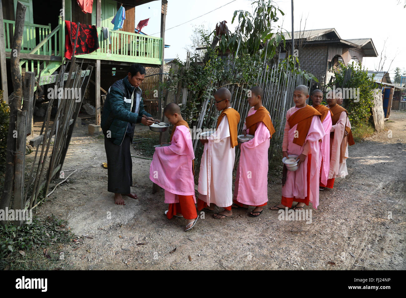 Buddhist nuns going for alm tak bat/ takbat  in the early morning near Inle lake, Myanmar Stock Photo