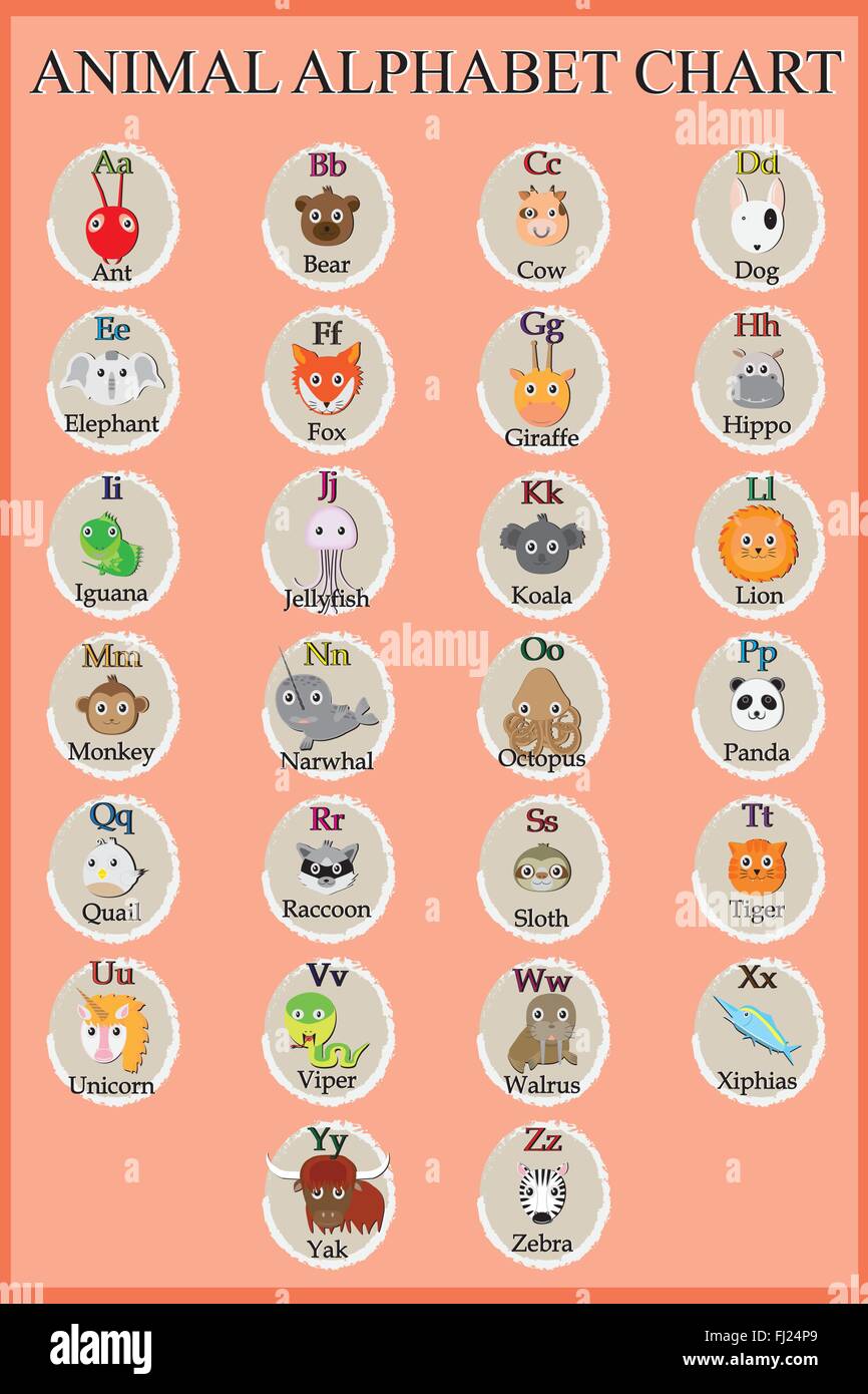 Cute Animal Alphabet Funny Cartoon Character A B C D E F G H I J K L M N O P Q R S T U V W X Y Z