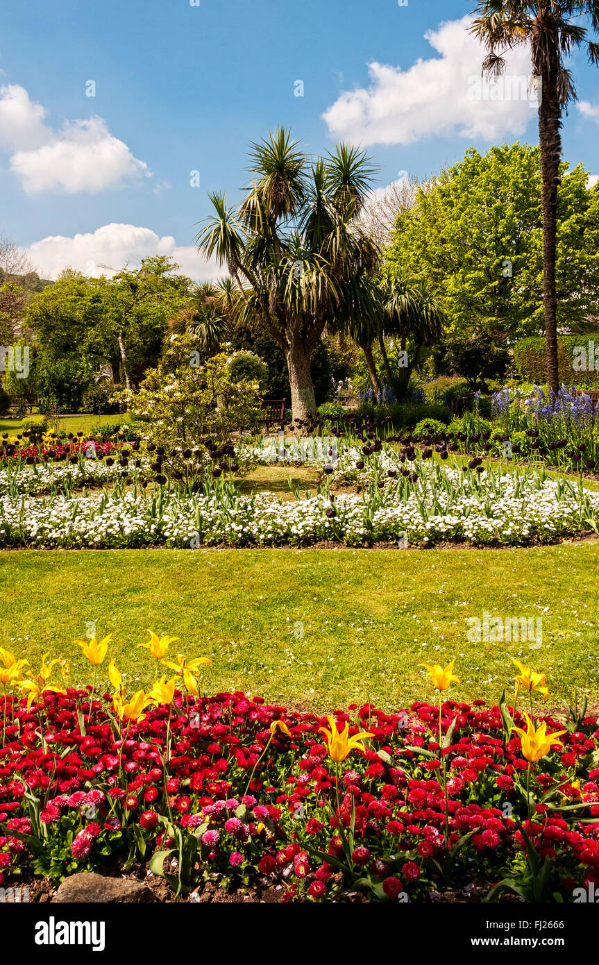 Red, yellow, white and other coloured flowers blossom in well tended formal borders emphasizing specimen trees in the gardens Stock Photo