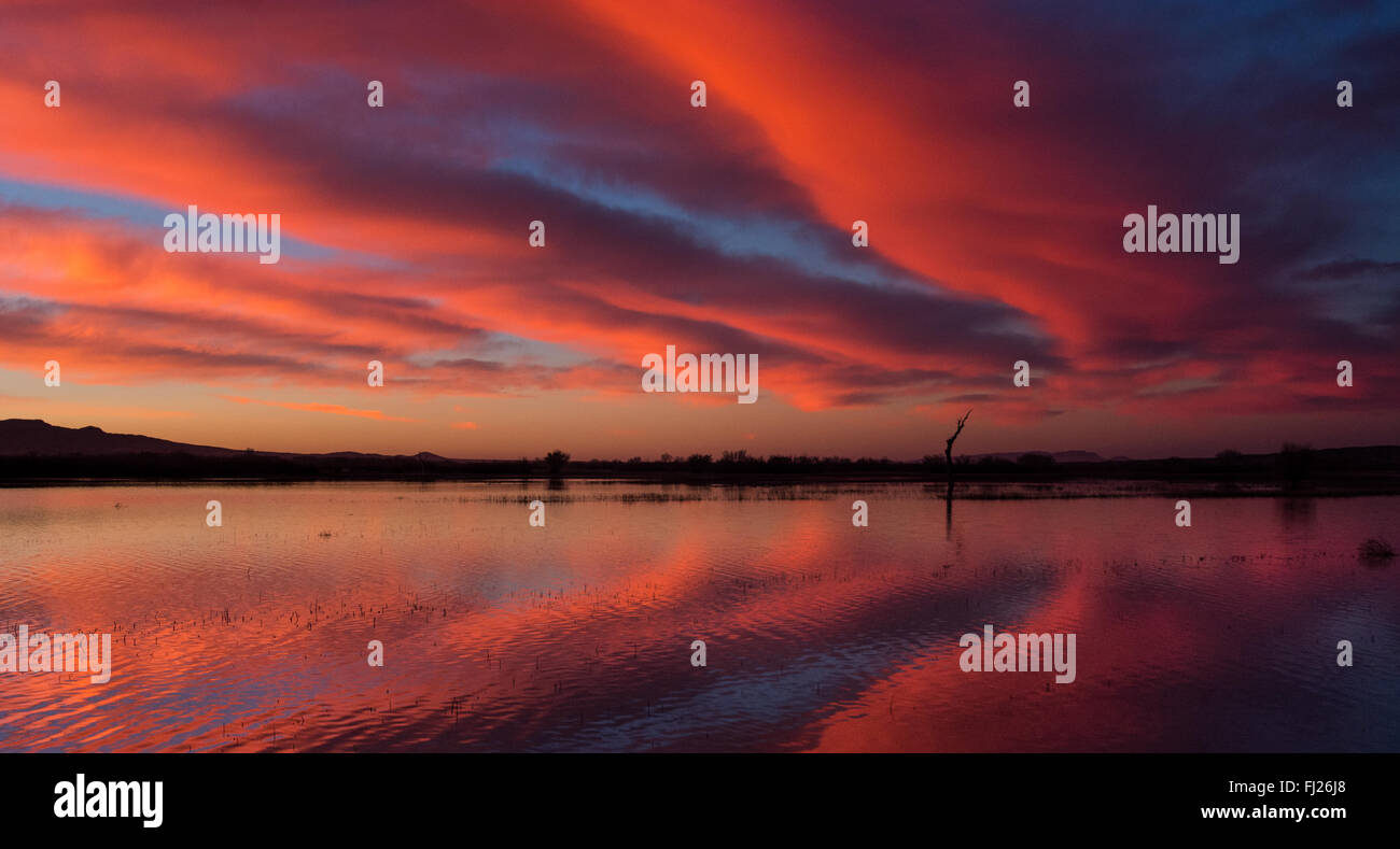 Reflections of sunrise in the water Stock Photo - Alamy