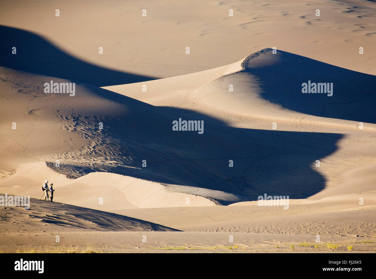A couple hikes across the dunes in Great Sand Dunes National Park, Colorado. Stock Photo