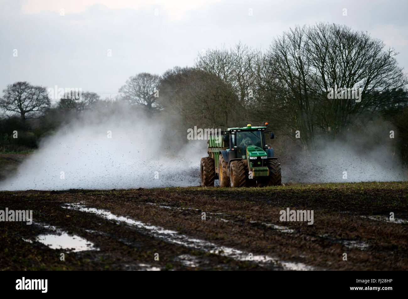 Manure being spread to farmland, Alderton, Suffolk, UK Stock Photo Alamy