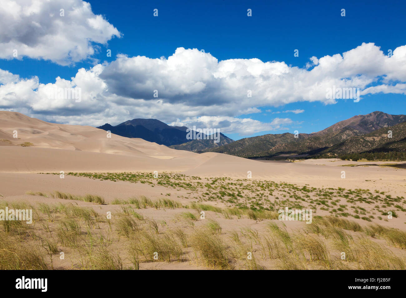 GREAT SAND DUNES NATIONAL PARK contains the largest sand dunes in North America - COLORADO Stock