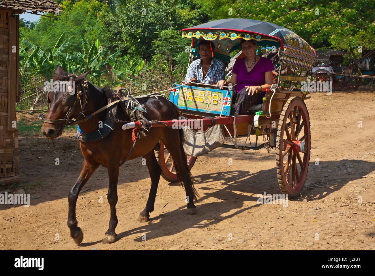 Horse and buggy are used as transport in historic INWA which served as the  Burmese Kingdoms capitol for 400 years - MYANMAR Stock Photo - Alamy