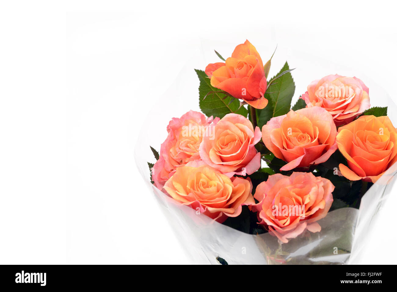 Bouquet of orange roses wrapped in cellophane on white background Stock Photo Alamy