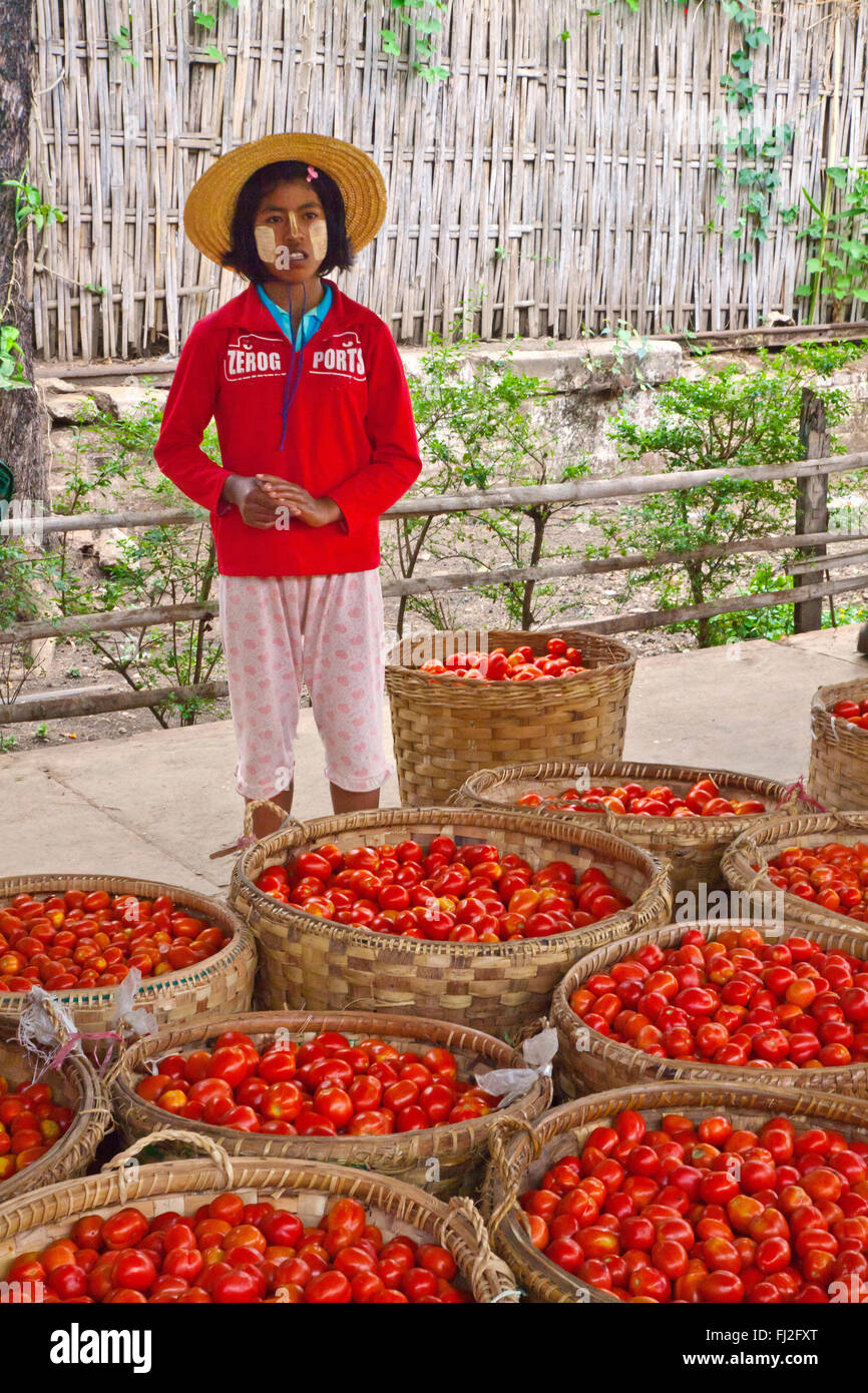 TOMATOES are transported by train on the route from Pyin U Lwin to Hsipaw - MYANMAR Stock Photo