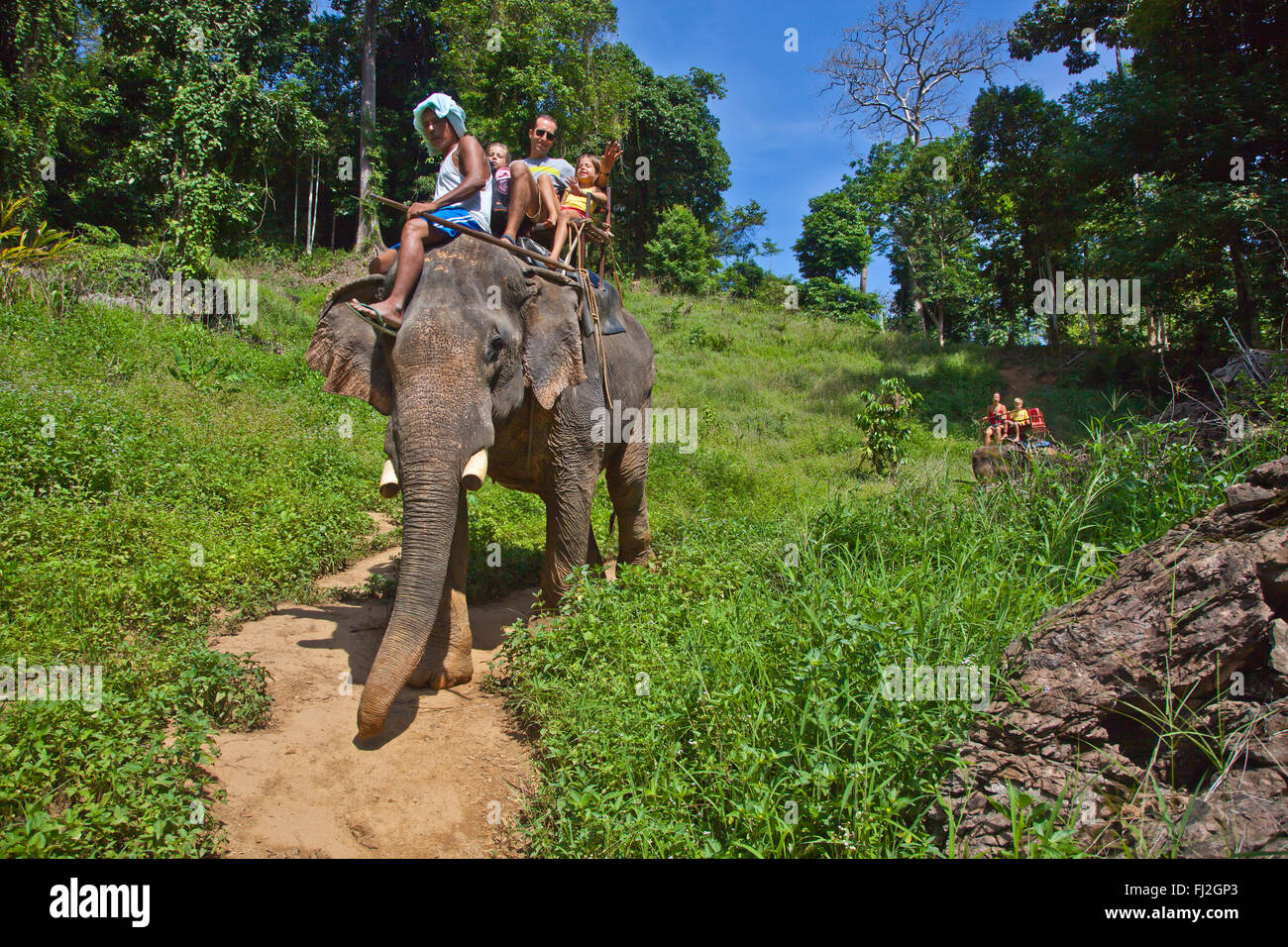 Thailand Elephant Ride Woman High Resolution Stock Photography and ...