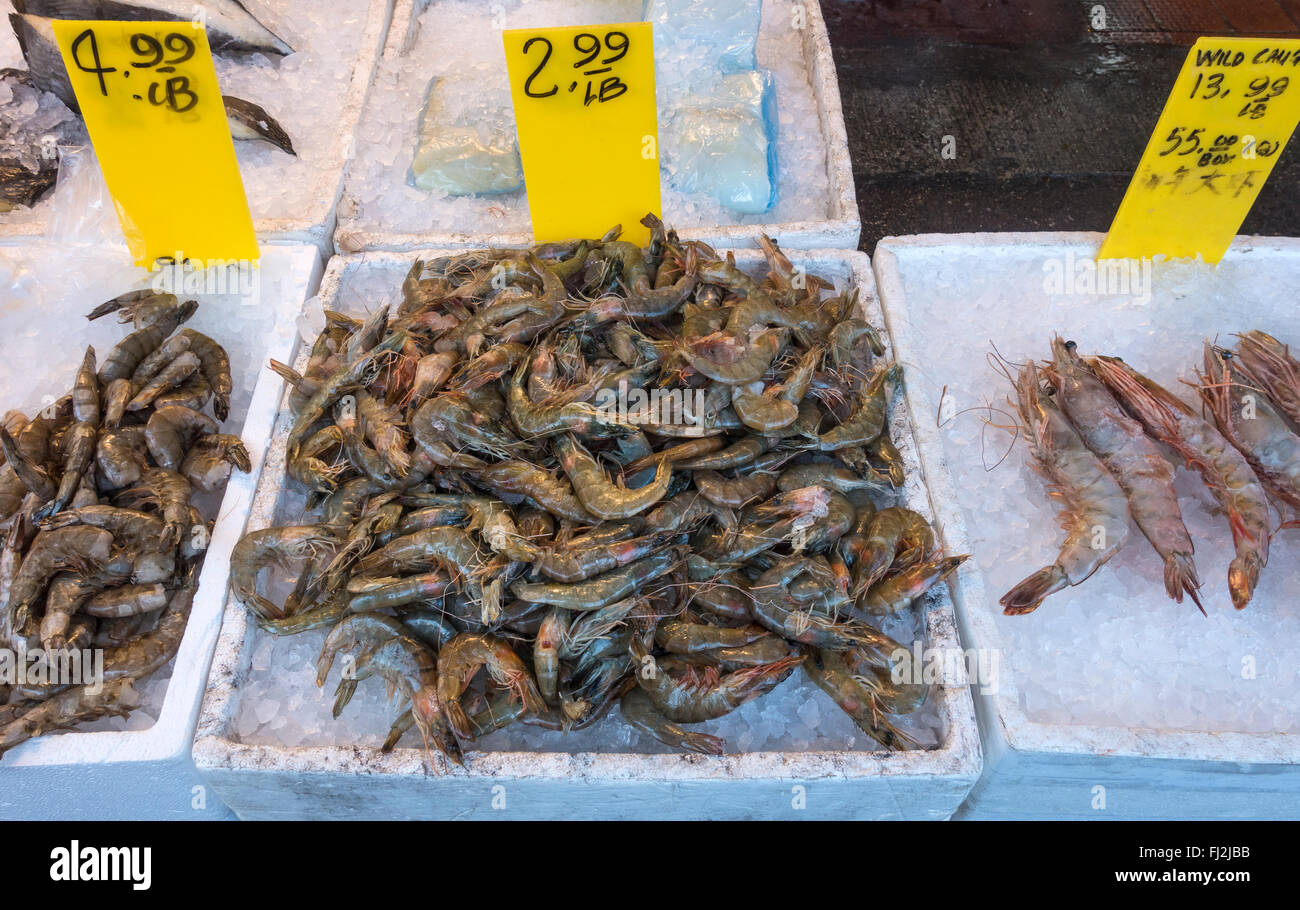 Fresh shrimp for sale at seafood store in Chinatown in New York City