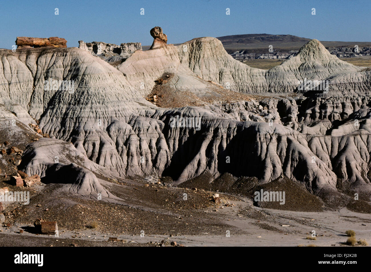 Petrified log in the PETRIFIED FOREST NATIONAL PARK - ARIZONA Stock Photo