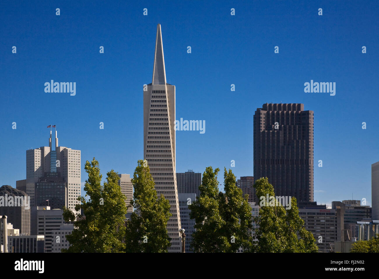 The TRANSAMERICA BUILDING stands 260 meters high and was designed by
