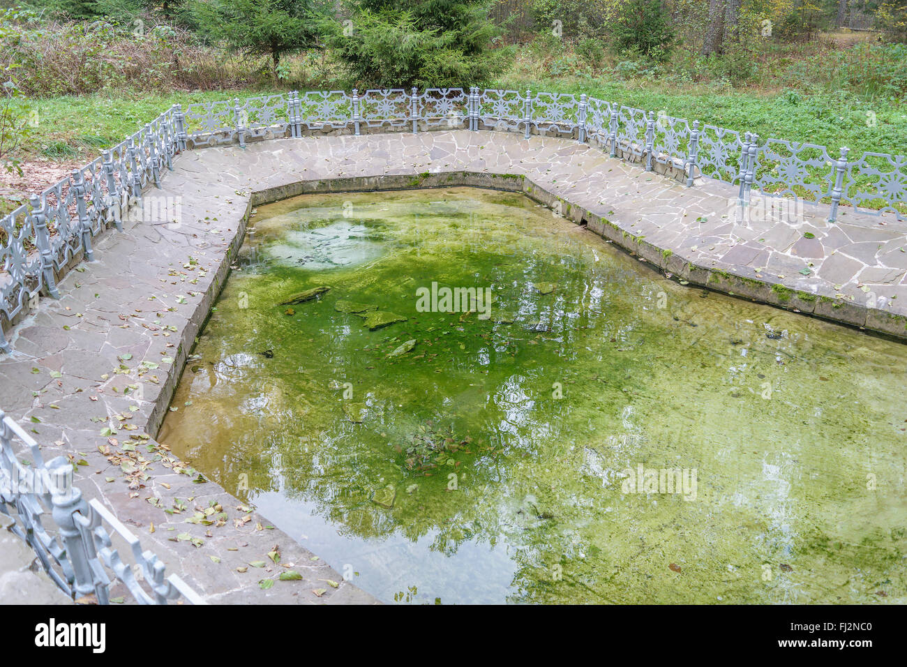 Enclosed metal fence swampy body of water with the reflection of trees in it Stock Photo