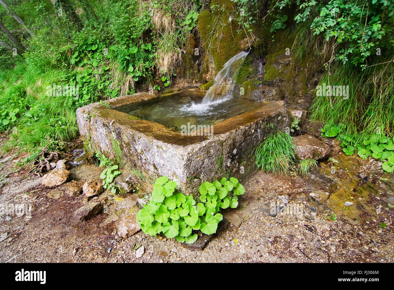 European, Italy, beautiful, cold, country, drink, drinking, drop, Europe, fount, fresh