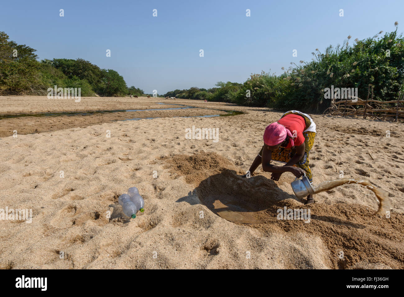 Searching for water, Angola, Africa Stock Photo