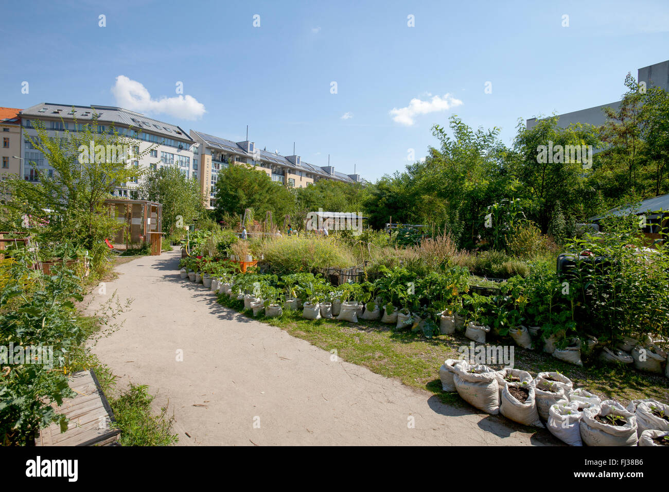 Urban Gardening, Berlin  Germany Stock Photo