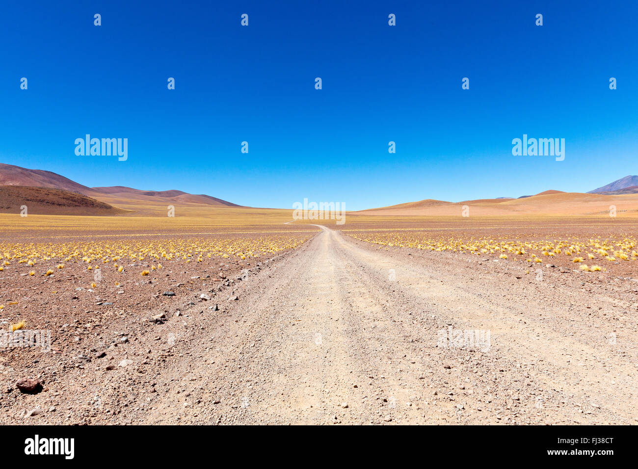 Puna desert, Argentina Stock Photo