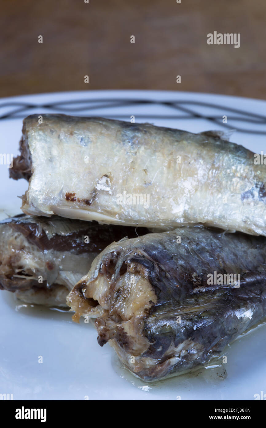 A macro image of canned, ready to eat, Moroccan Sardines in Sunflower oil presented on a white plate. Stock Photo