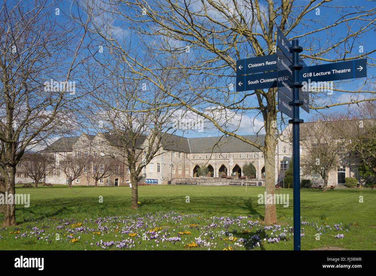 Exeter University St Luke's Campus - looking towards the arches of North Cloisters across the lawns of the quadrangle Stock Photo