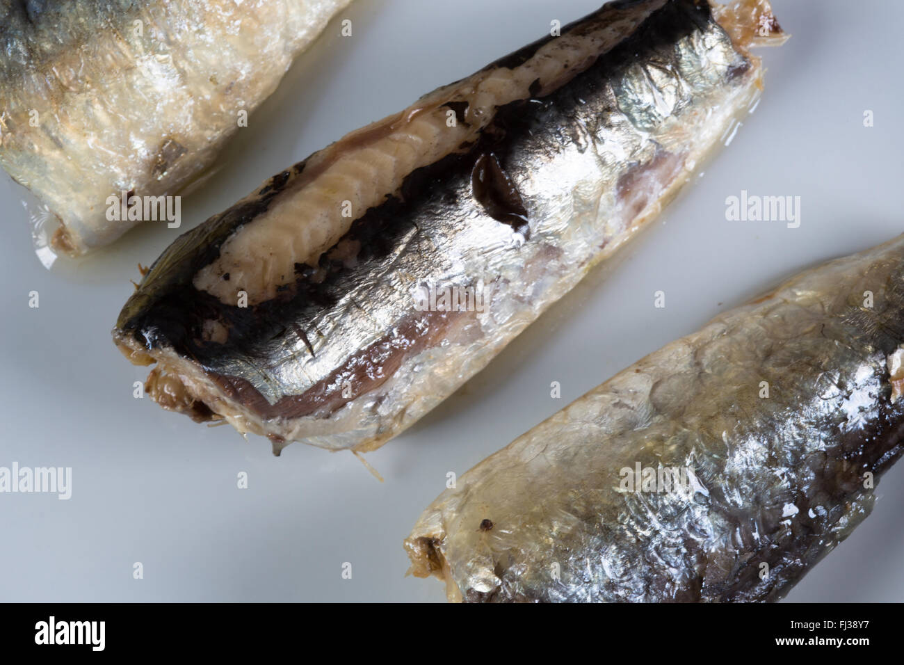 A macro image of canned, ready to eat, Moroccan Sardines in Sunflower oil presented on a white plate. Stock Photo