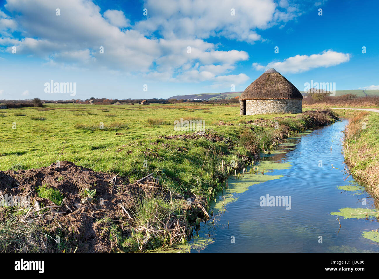 A thatched circular linhay or barn on Braunton Marshes an area of outstanding natural beauty near Barnstaple in Devon Stock Photo