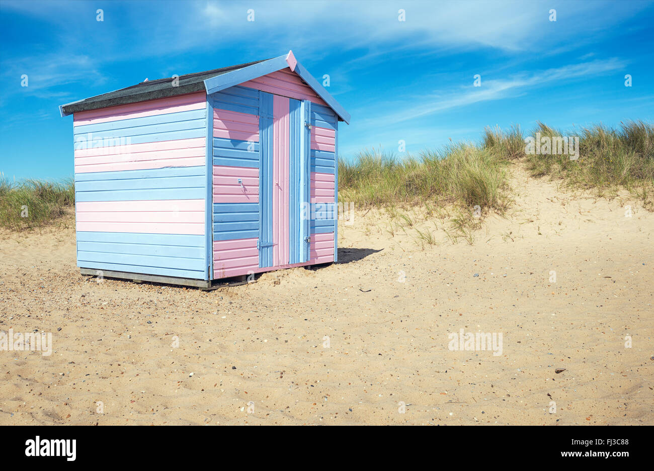 A blue and pink beach hut in sand dunes at Great Yarmouth beach on the Norfolk coast Stock Photo