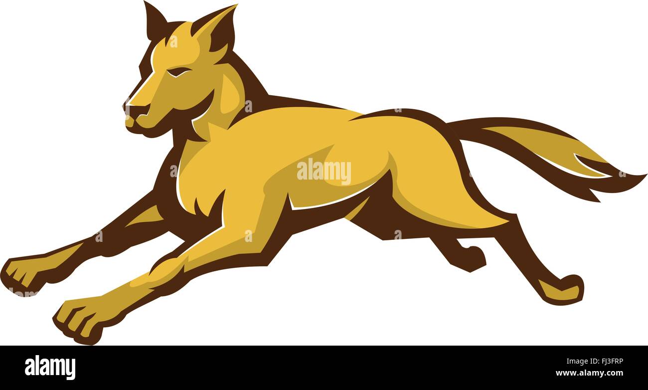 vector illustration of a wild dog wolf jumping viewed from front side ...