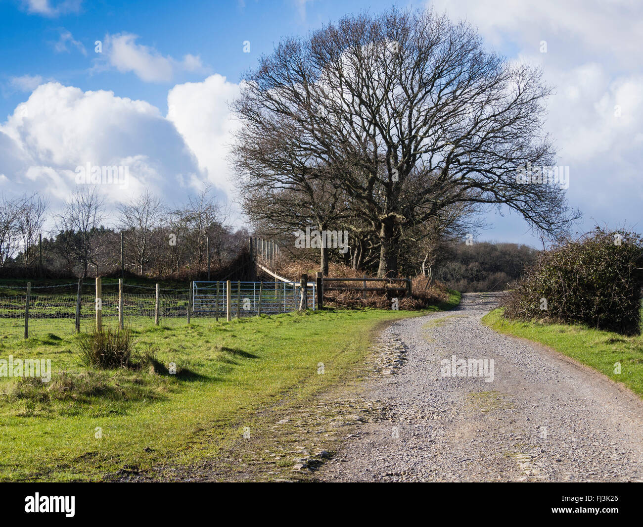 Arne dorset winter hi-res stock photography and images - Alamy