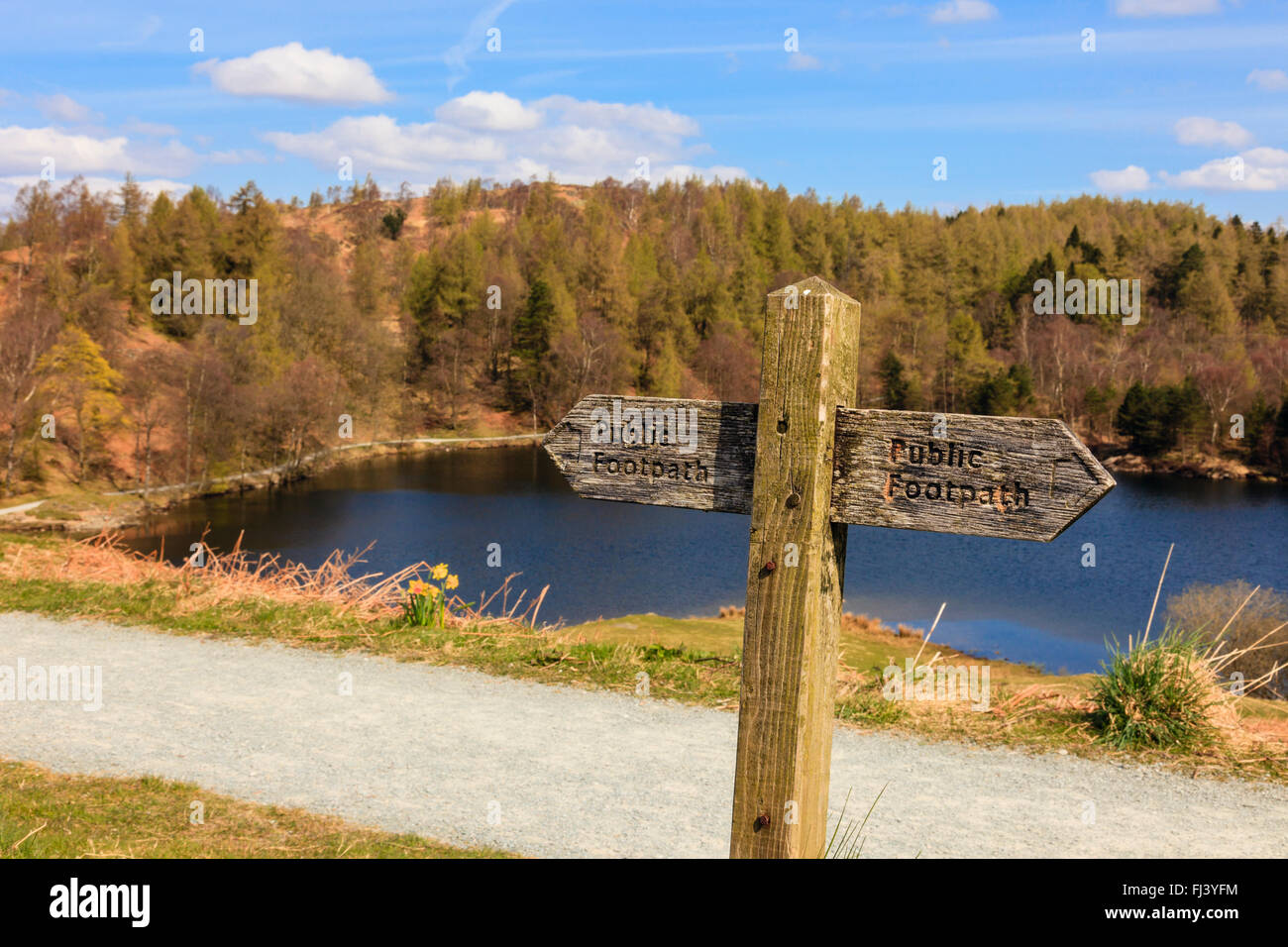 Old wooden public footpath signpost on path around Tarn Hows SSSI in Lake District National Park. Coniston, Cumbria, England, UK Stock Photo