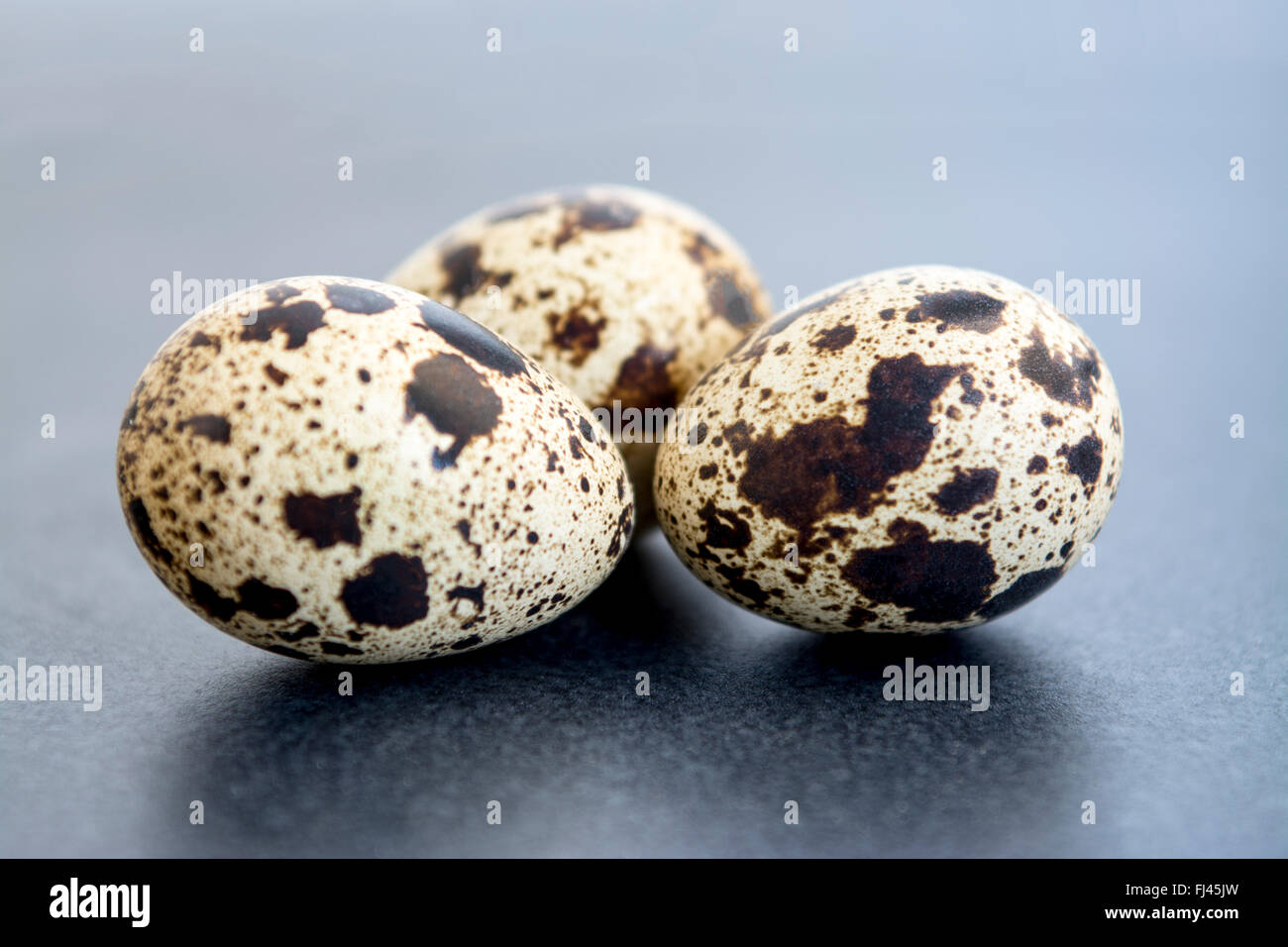 macro shot ,selective focus on a group of three quails eggs shot with window light shallow very depth of field Stock Photo