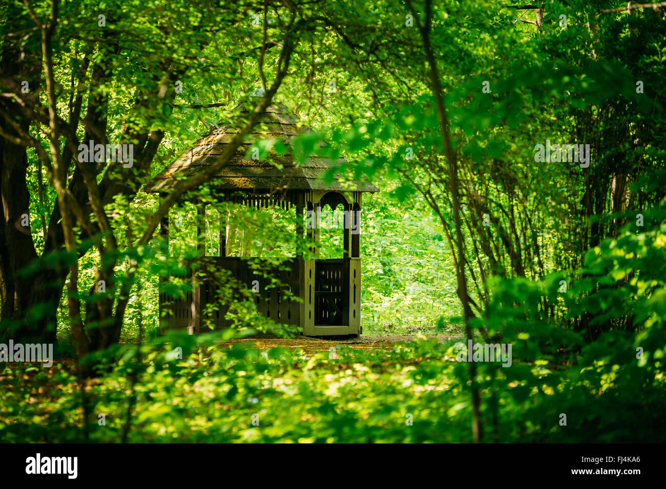 Old wooden gazebo in green garden park forest. Garden pergola with forest in background. Stock Photo