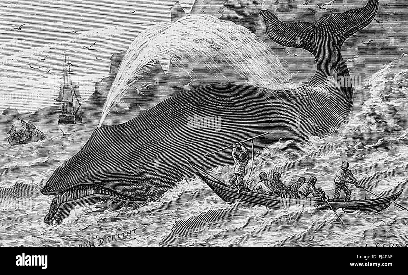 WHALING Harpooning a Bowhead whale from the 1876 book Treasures of the Deep Stock Photo