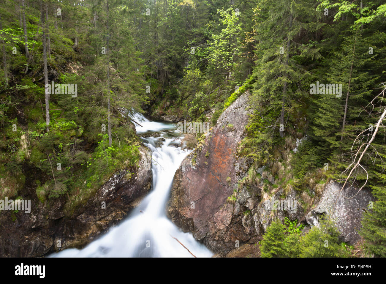 Long exposure of water flowing down a stream in a forest among rocks inside Tatra National Park - Lesser, Poland Stock Photo